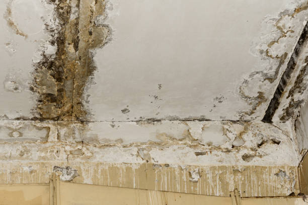 Best Water damage restoration near me  in Fort Leonard Wood, MO